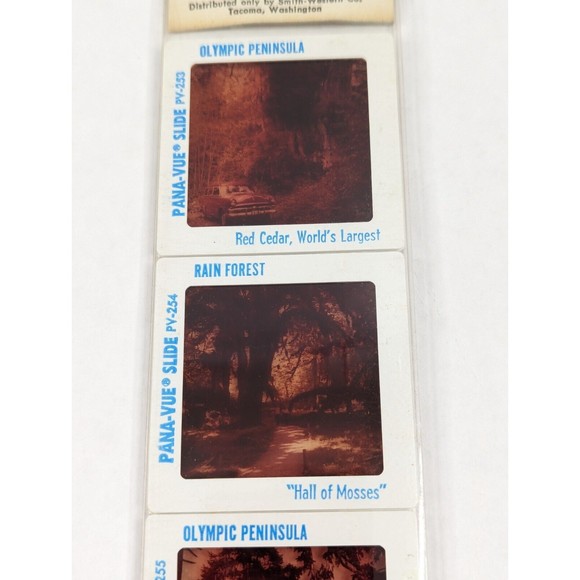 Vintage GAF Pana-Vue Slides Olympic Peninsula Washington State Lot of 5 PV114 - Picture 5 of 11